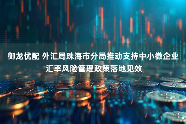 御龙优配 外汇局珠海市分局推动支持中小微企业 汇率风险管理政策落地见效