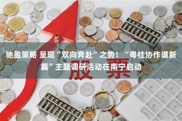 驰盈策略 呈现“双向奔赴”之势！“粤桂协作谱新篇”主题调研活动在南宁启动