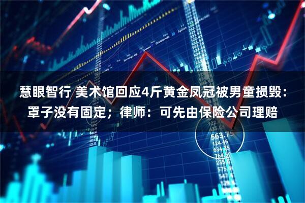 慧眼智行 美术馆回应4斤黄金凤冠被男童损毁：罩子没有固定；律师：可先由保险公司理赔