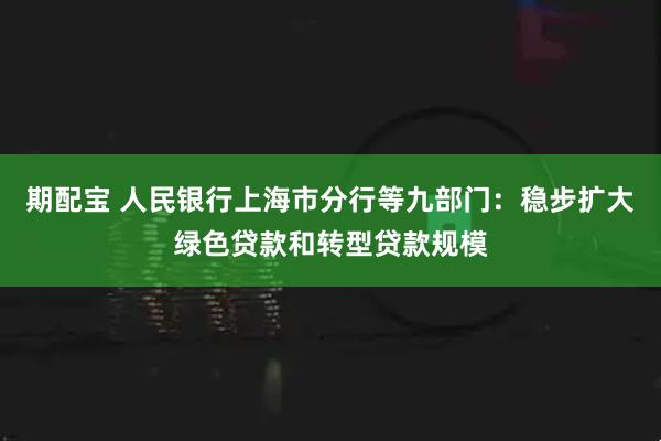 期配宝 人民银行上海市分行等九部门：稳步扩大绿色贷款和转型贷款规模