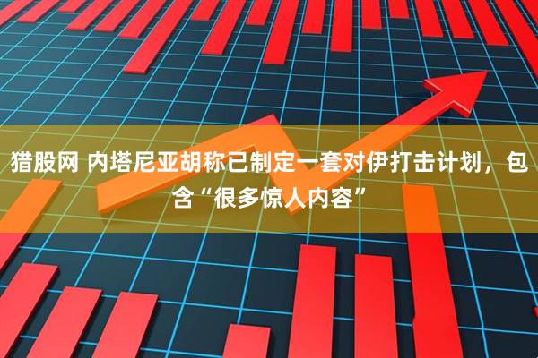 猎股网 内塔尼亚胡称已制定一套对伊打击计划，包含“很多惊人内容”